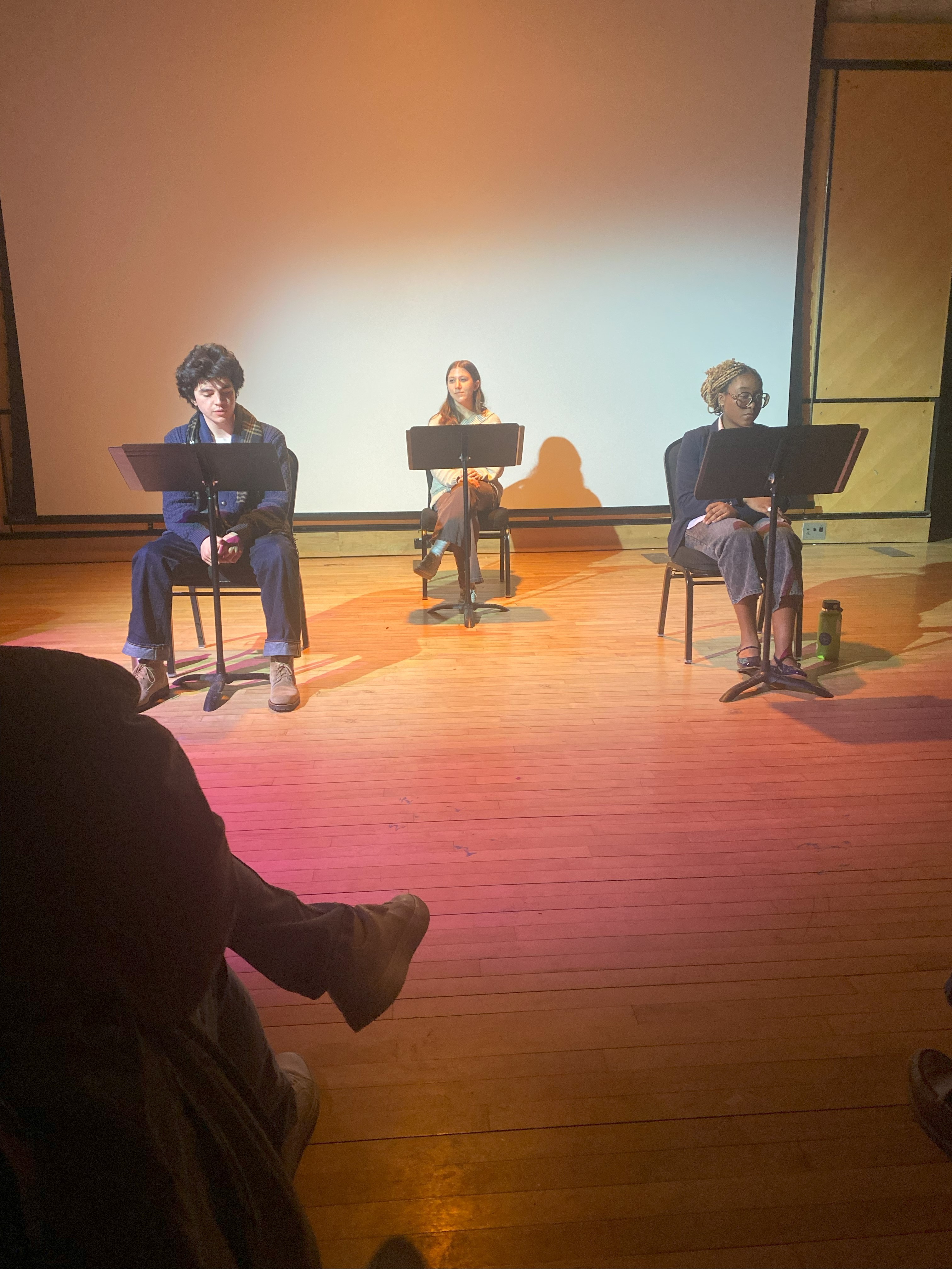 "Bleach Stains" reading photo