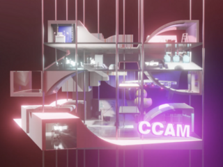 CCAM Artwork